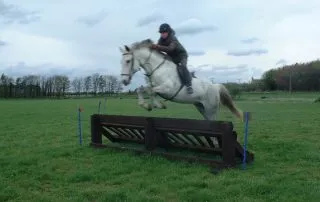 Equine Behaviour Consultants Equine Behaviour Consultants